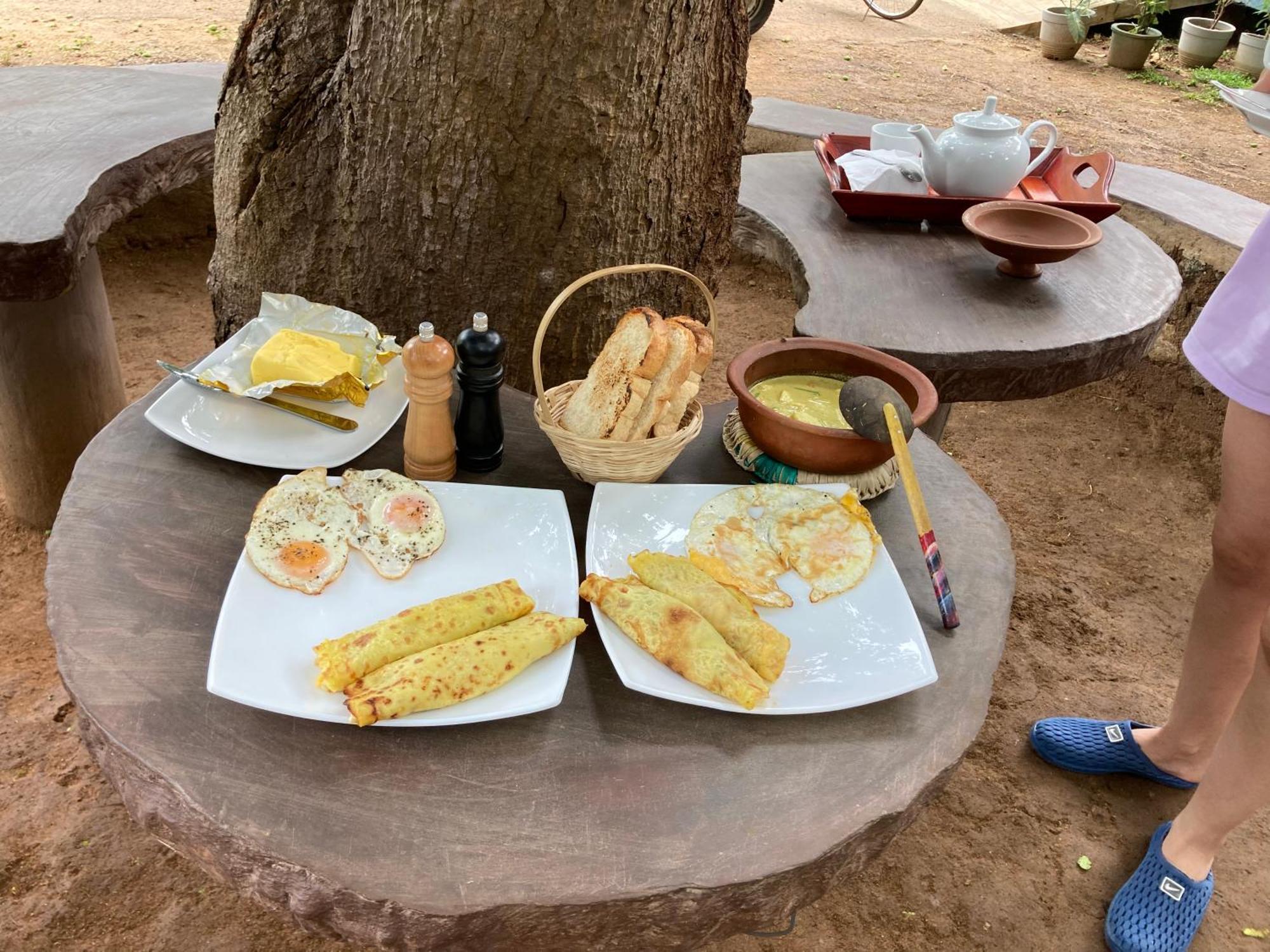 מלון אודוואלאווה Amba Kola Udawalawa מראה חיצוני תמונה